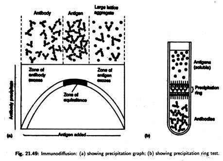 Percipitation Graph and Perceipitation Ring Test
