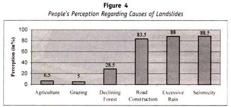 Major Groups in Animal Classification