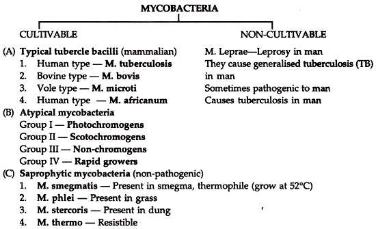 Classification of Mycobacteria