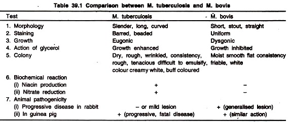 Comparison between M. Tuberculosis and M. Bovis