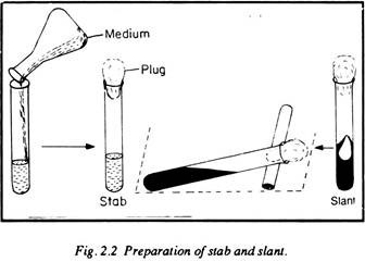 Preparation of Stab and Slant