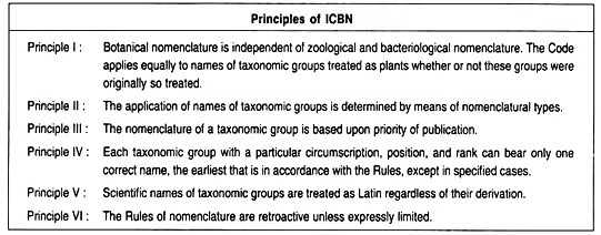 Principle of ICBN