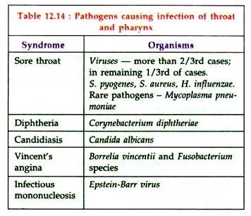 Pathogens causing infection of throat and pharynx