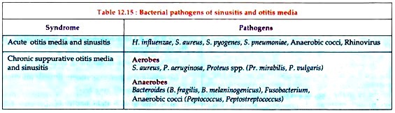 Bacterial pathogens of sinusitis and otitis media