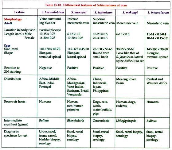 Differential Features of Schistosomes of Man