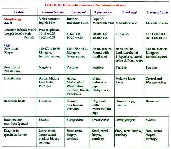 Differential Features of Schistosomes of Man