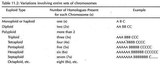 Variations Involving Entire Sets of Chromosomes