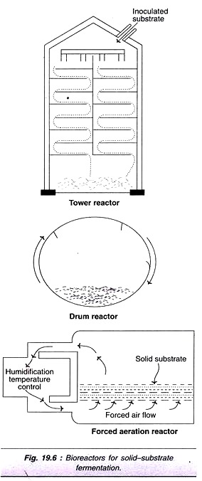 Progression of Eukaryotic Cells