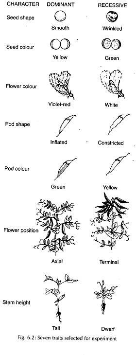 Seven Traits Selected for Experiment