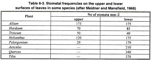 Stomatal Frequencies