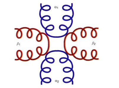 Process of Microtubule Attachment to the Kinetochore