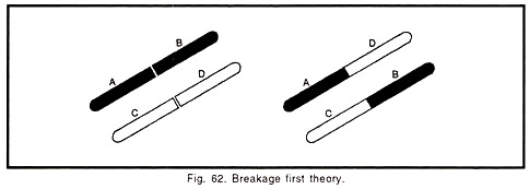 'Breakage First' Theory
