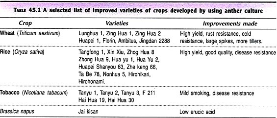 Different Types of Starch Grains 