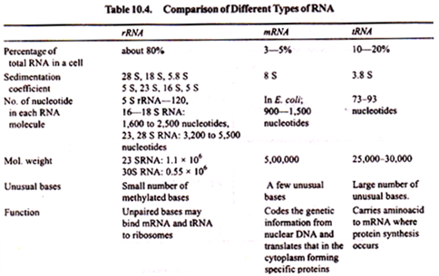 Comparison of Different types of RNA