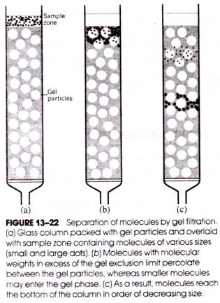 Important Polysaccharides and their Uses