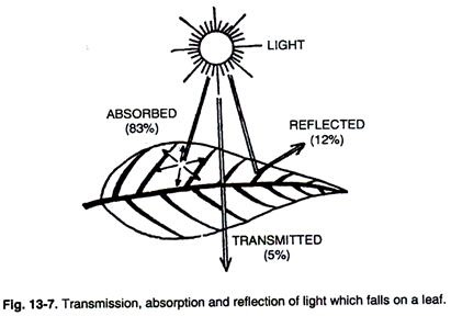 Transmission, Absorption and Reflection of Light