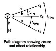 Cause and Effect Relationship