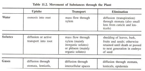 Movement of substances through the plant