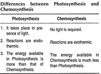 Difference between Photosynthesis and Chemosynthesis