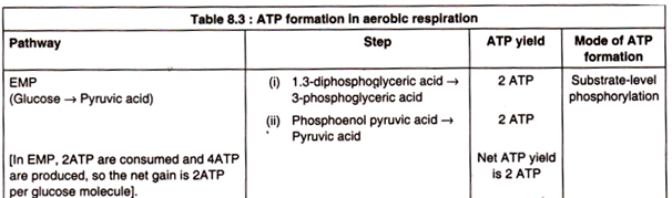 ATP Formation in Aerobic Respiration 