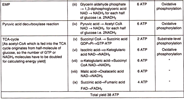 ATP Formation in Aerobic Respiration 