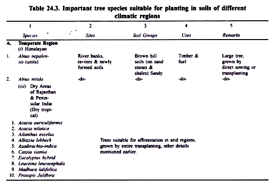 Stages of development of sporophyte in laminaria