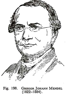 Gregor Johann mendal (1822-1884)