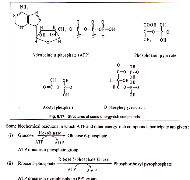 Structures of some energy-rich compounds