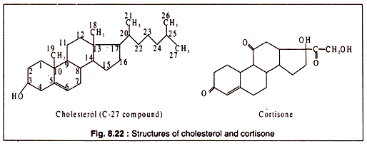 Structures of cholesterol and cortisone