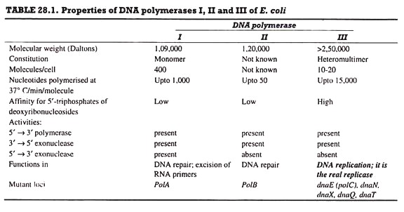 Properties of DNA polymerases I, II and III of E.coli