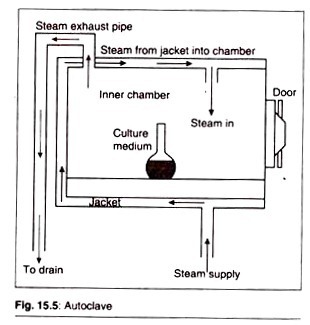 Determination of path of ascent of sap