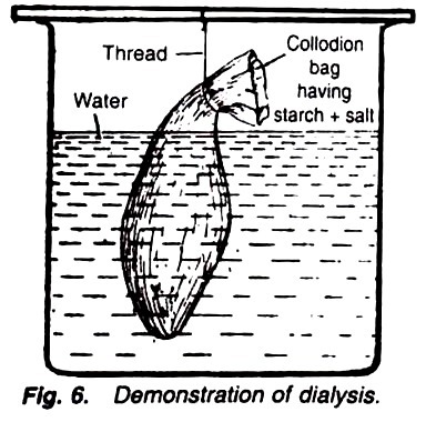 Demonstration of dialysis