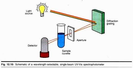 Oscillatoria