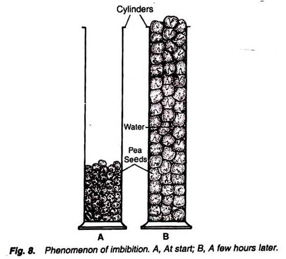 Phenomenon of imbibition