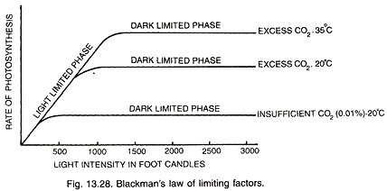 Blackman's law of limiting factors