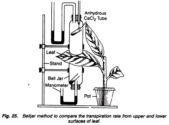 Belljar method to compare the transpiration rate from upper and lower surfaces of leaf
