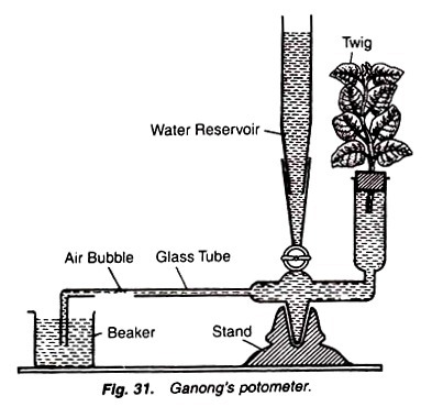 Ganong's potometer