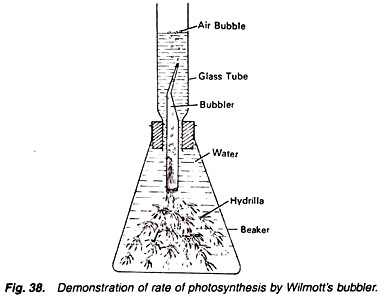 Demonstration of rate of photosynthesis by wilmott's bubbler