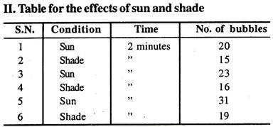 Table for the effects of sun and shade