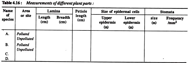 Measurements of different plant parts