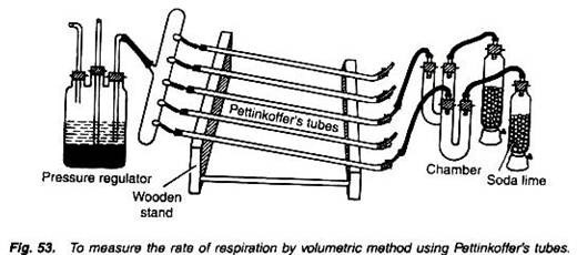 To measure the rate of respiration by volumetric method using pettinkoffer's tubes