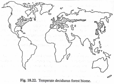 Temperate Deciduous Forest Biome 