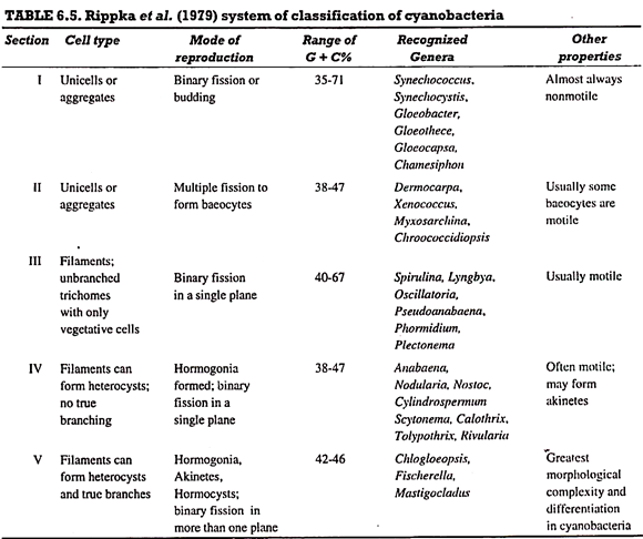 Rippka et. al. system of classification of cyanobacteria