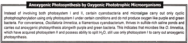 Anoxygenic photosynthesis by oxygenic phototrophic microorganisms