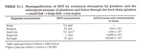 Biomagnification of DDT