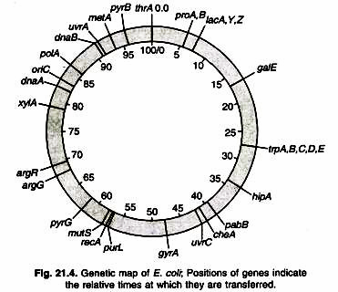 Darwin's porometer