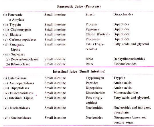 Pancreatic juice