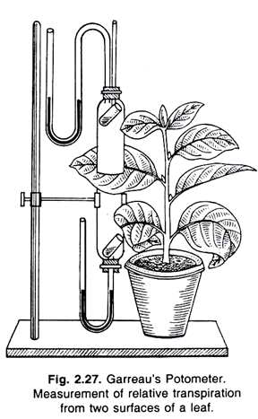 Garreau's Potometer