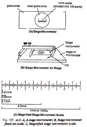 Stage Micrometer, Stage Micrometer Fixed and Magnified Stage Micrometer Scale
