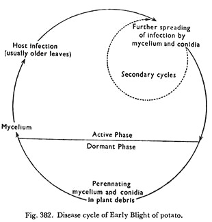 Disease cycle of Early Blight of potato 